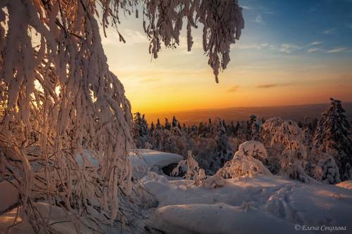 Краски зимнего заката