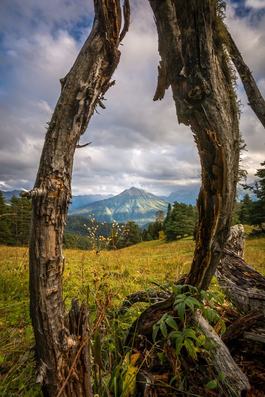 кавказ горы осень пейзаж В рамке фото превью