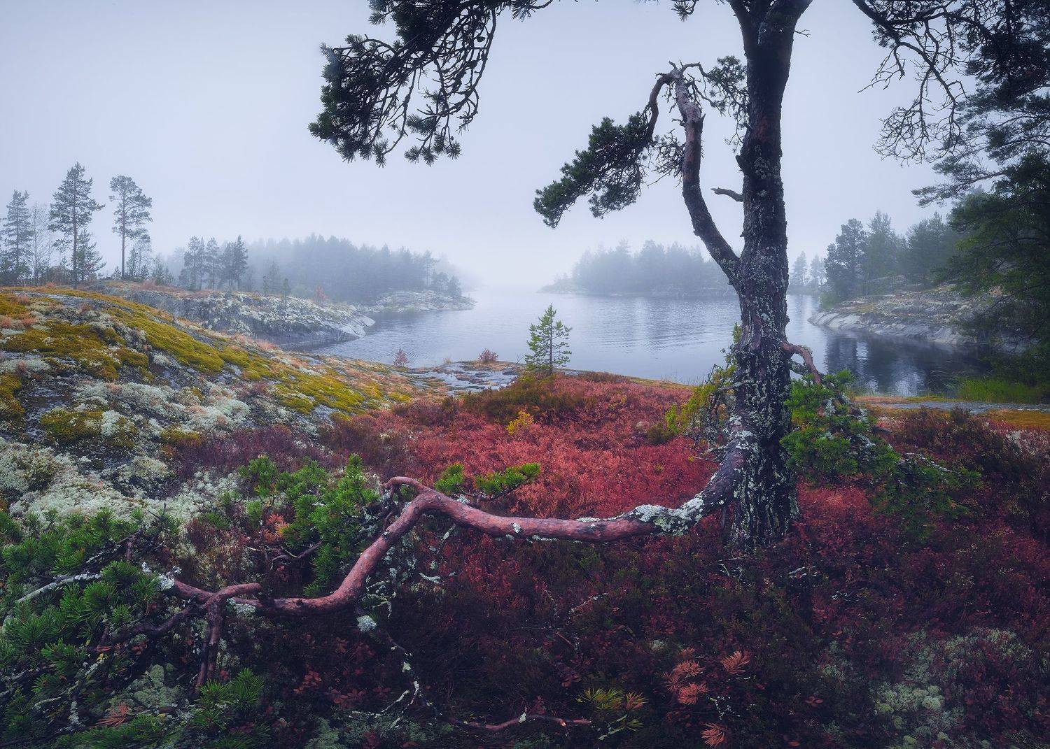 Ладога, туман, Кононов Антон