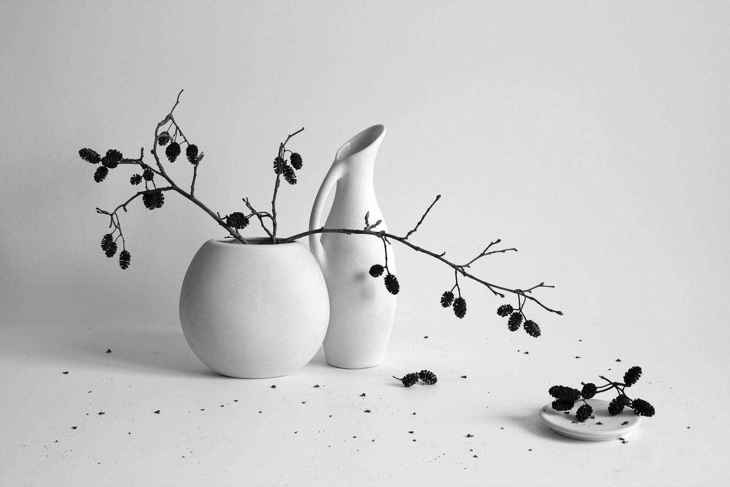 миламиронова, натюрмот, фотонатюрморт, still life, белое, веточка, ольха, кувшин, ваза, Мила Миронова