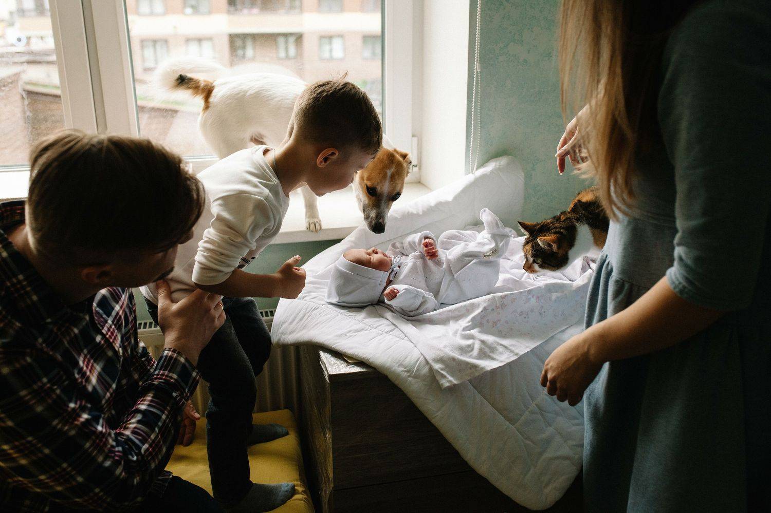 выписка, роддом, новорожденный, младенец, животные, собака, кошка, , Мартиросян Михаил