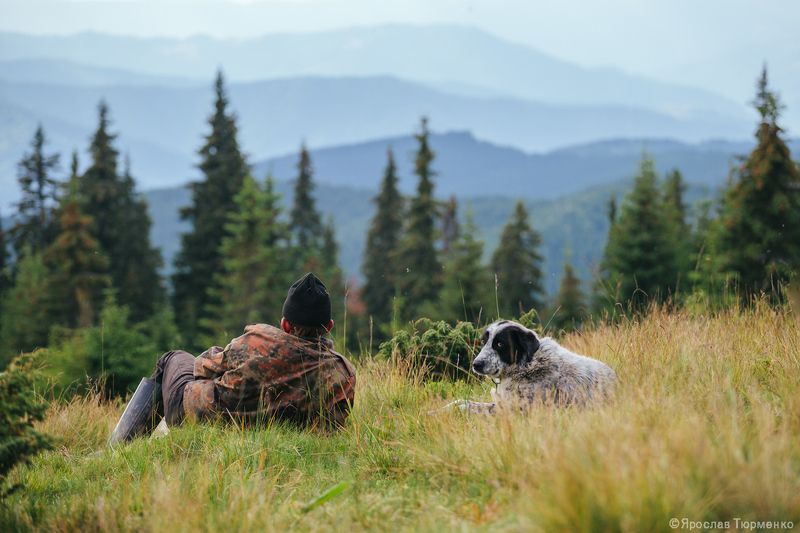 *** фото превью