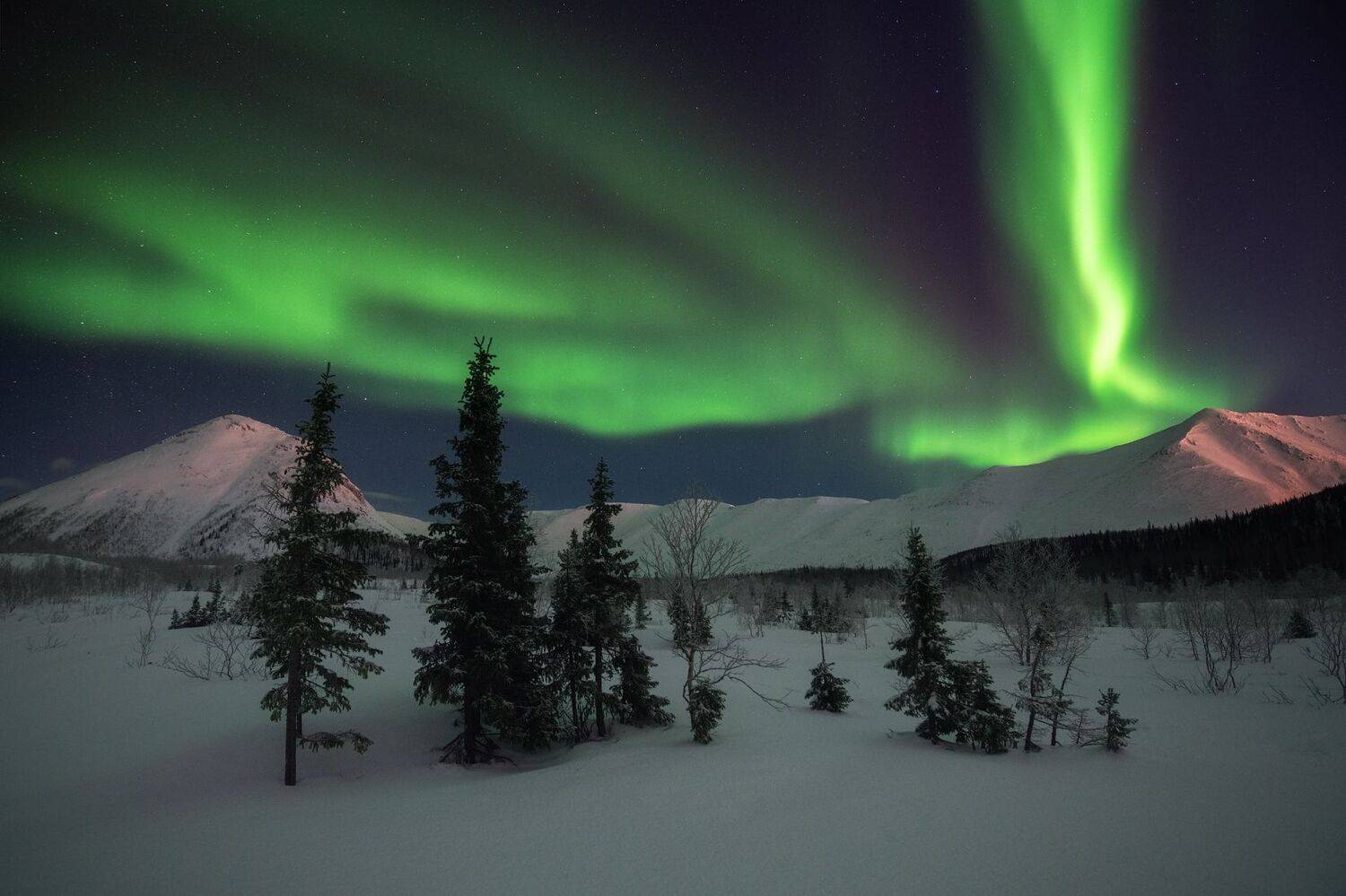 , Виталий Истомин