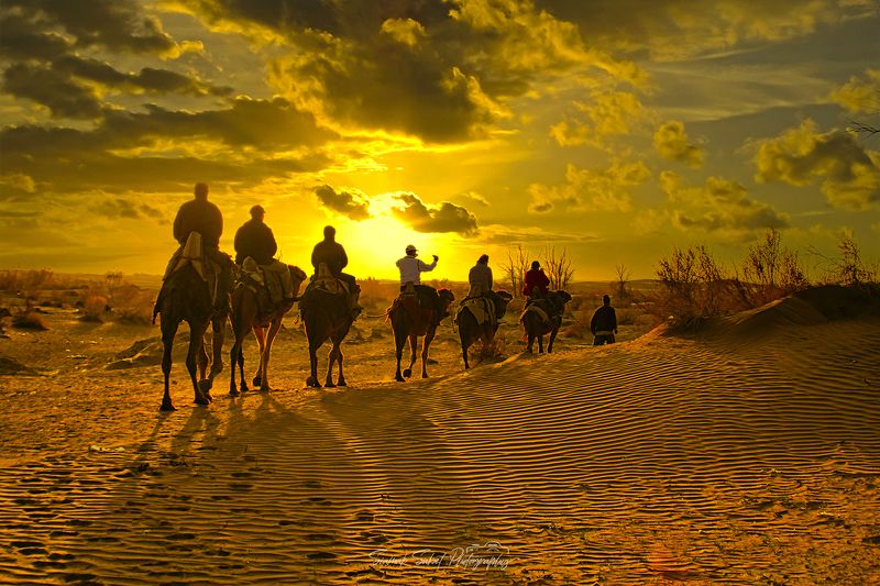 Golden Time фото превью