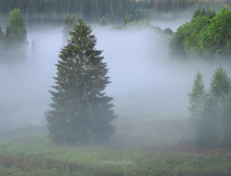 Туманы августа... фото превью