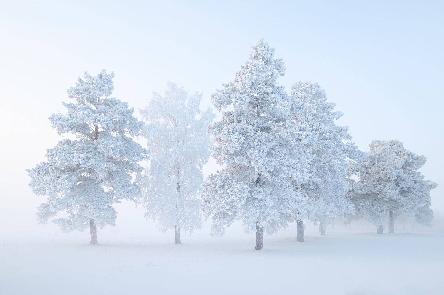, Константин Леонтьев