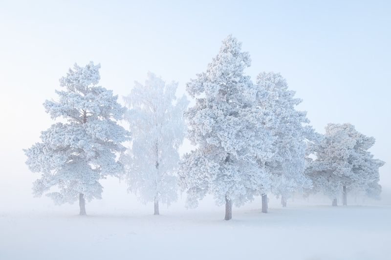 Когда тишину видно... фото превью