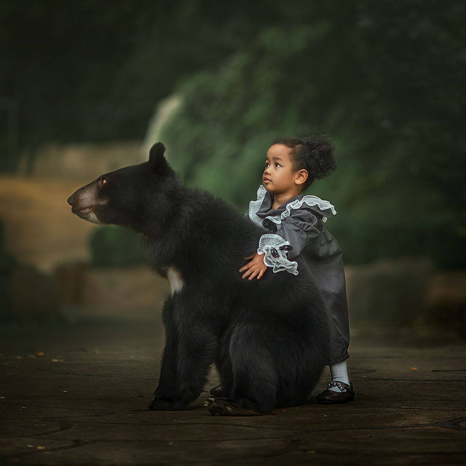 月牙熊, 姚文琦