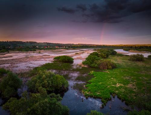 Fields with water cover