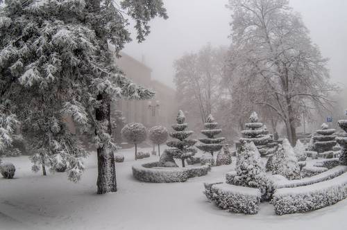 Зимний туман