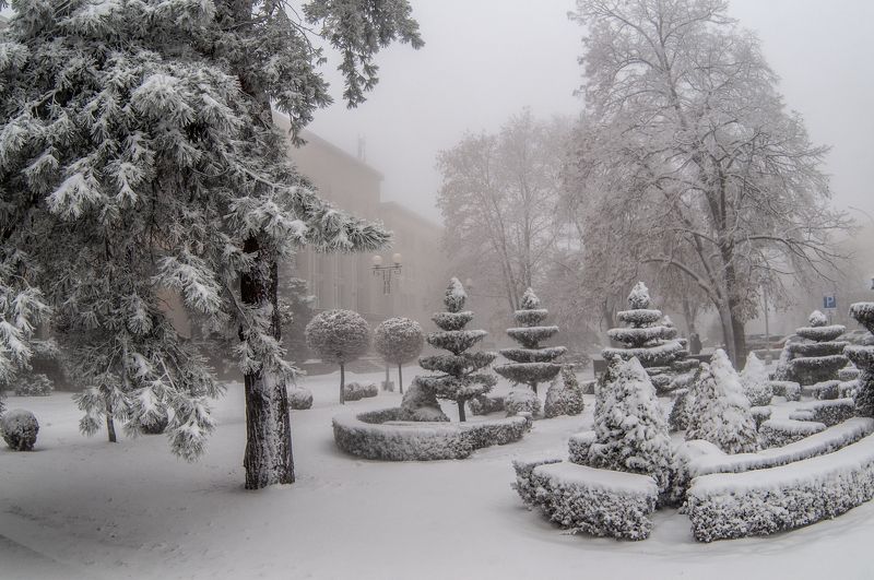 туман, зима, город,  Зимний туман фото превью