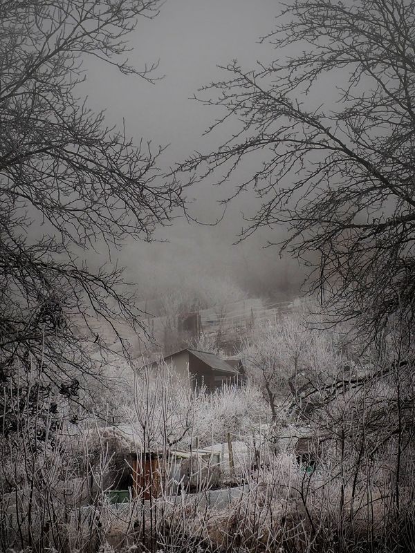 Winter ll фото превью