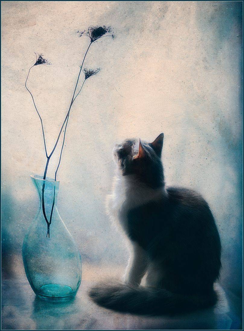 , Александр Хромеев