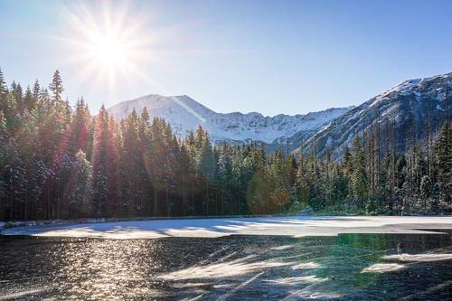 Sunny frost