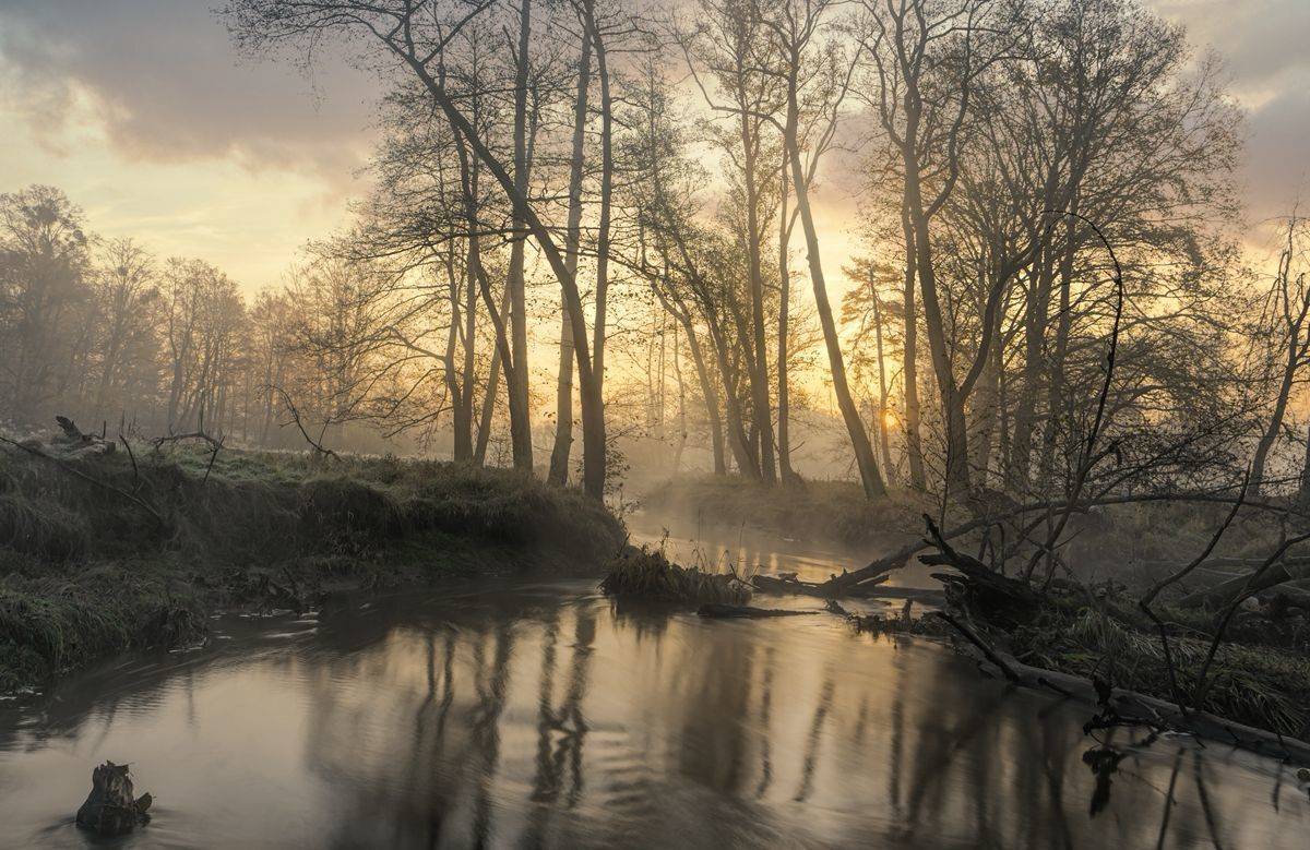 , Sławek Przybylski