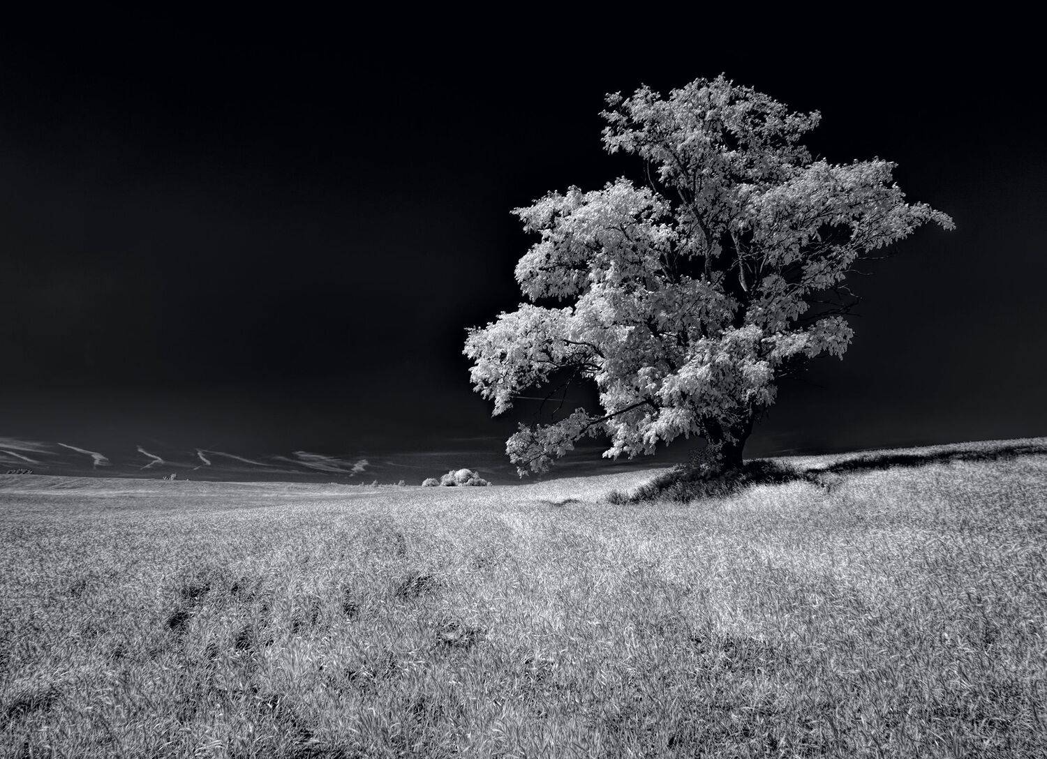 infrared,ик-фото,инфракрасное фото, инфракрасная фотография, пейзаж, лето,  Sixten (Сергей)