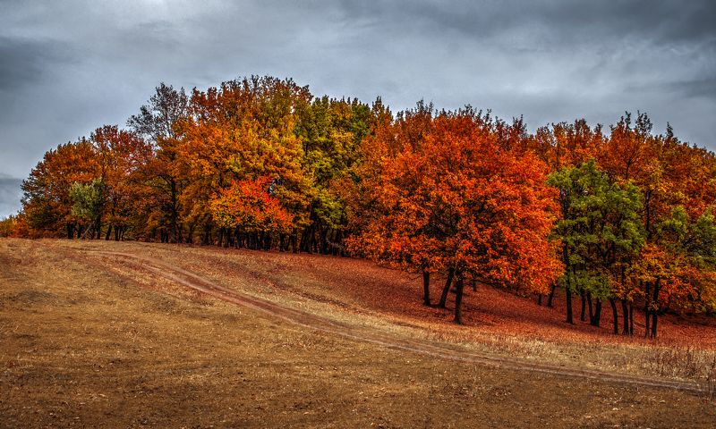 *** фото превью
