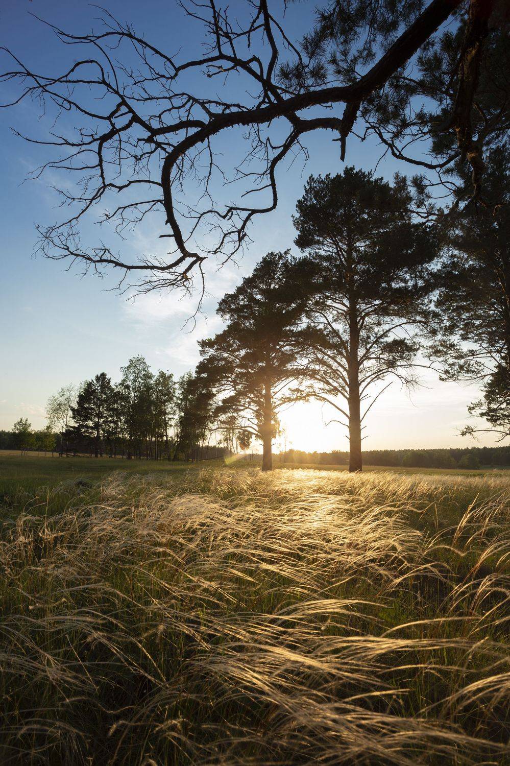 , Андрей Логвинович