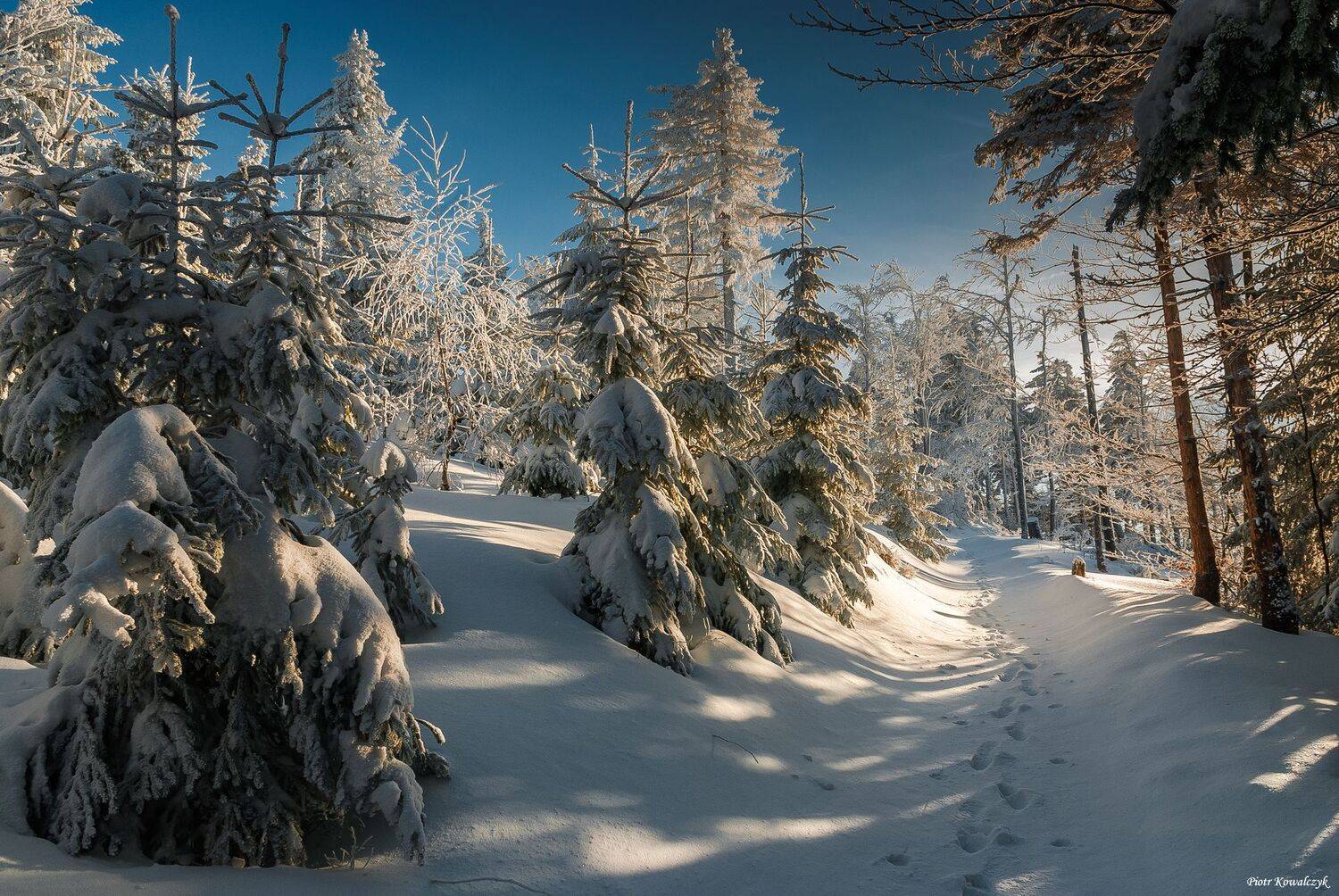 polska, zima, Kowalczyk Piotr