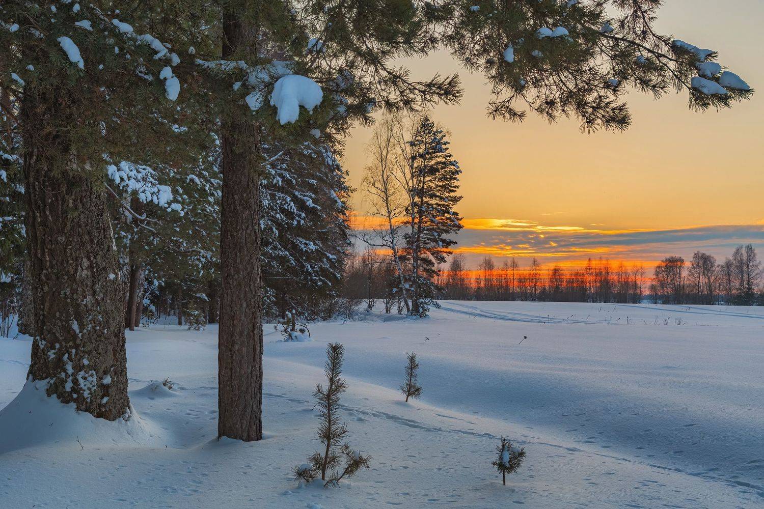 , Евгений Ерохин