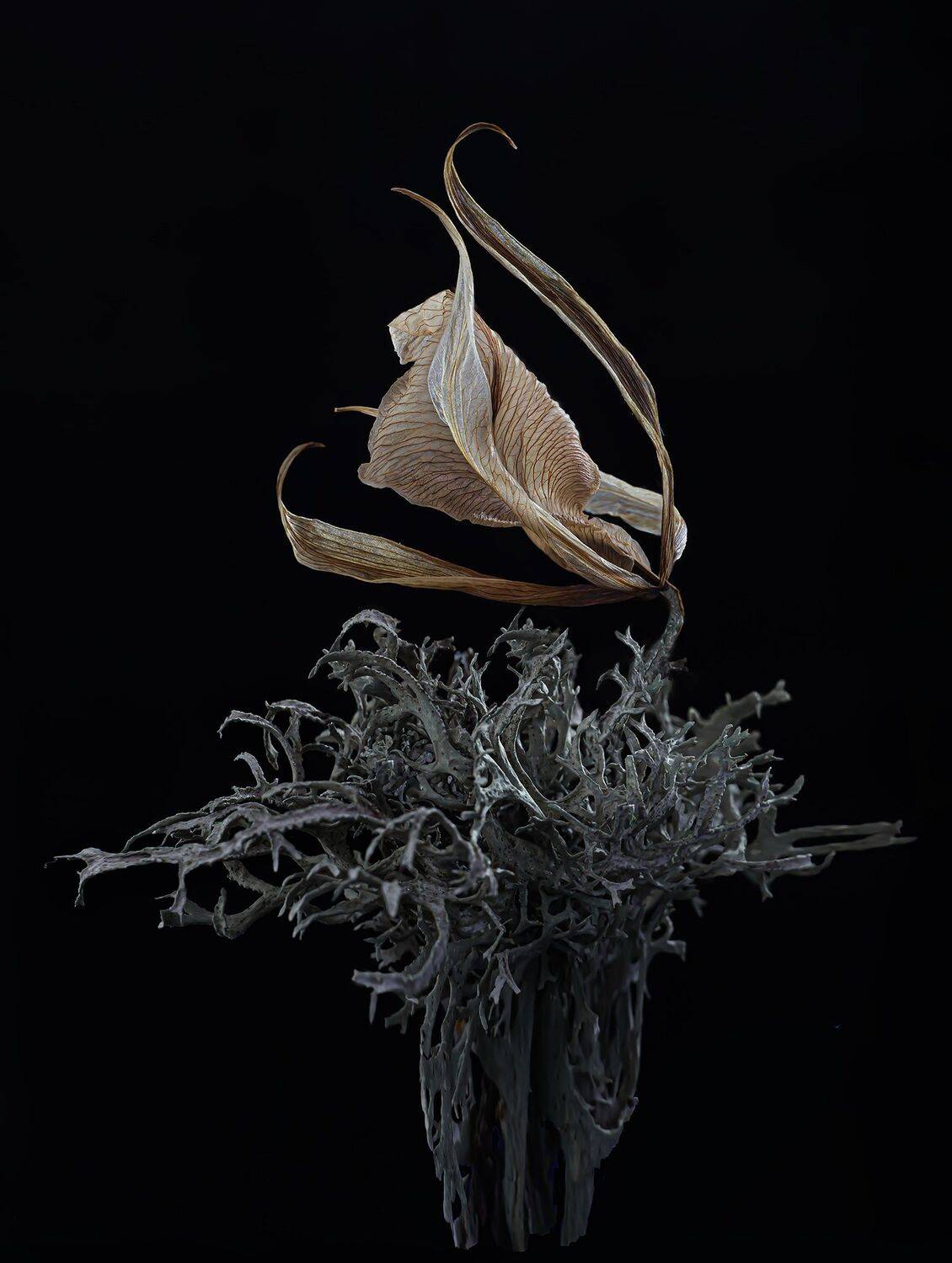 , Черновол Валентин