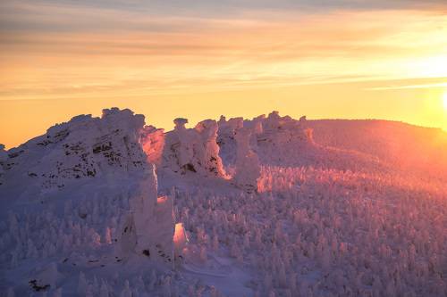 Залитые светом