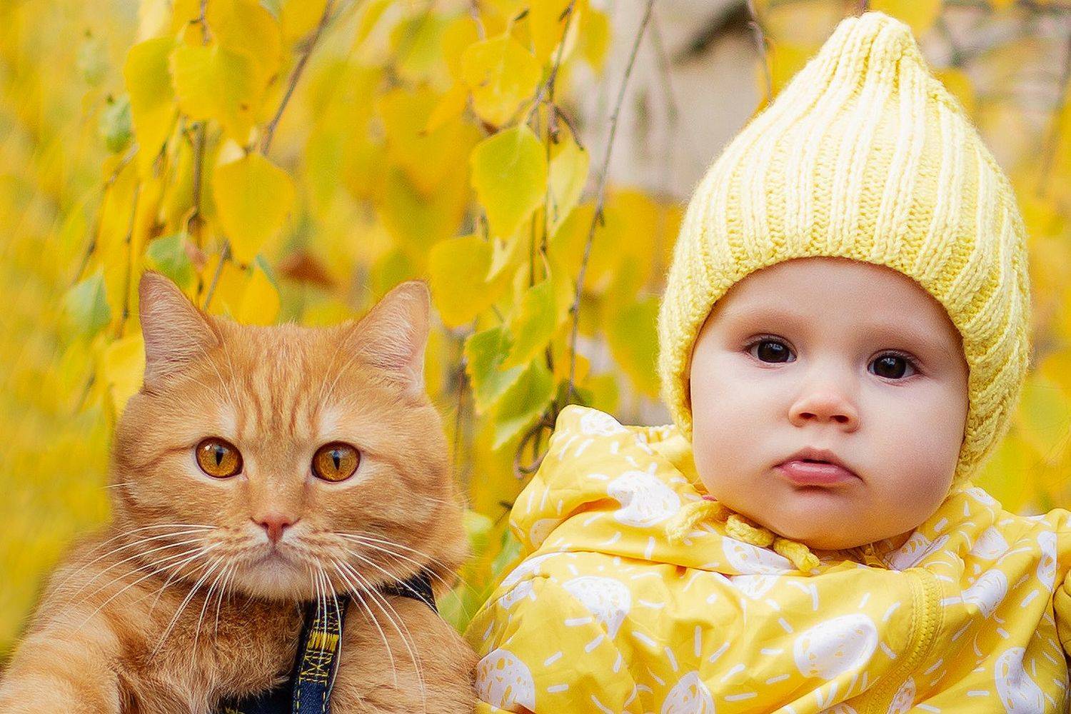 , Сосновских Вячеслав