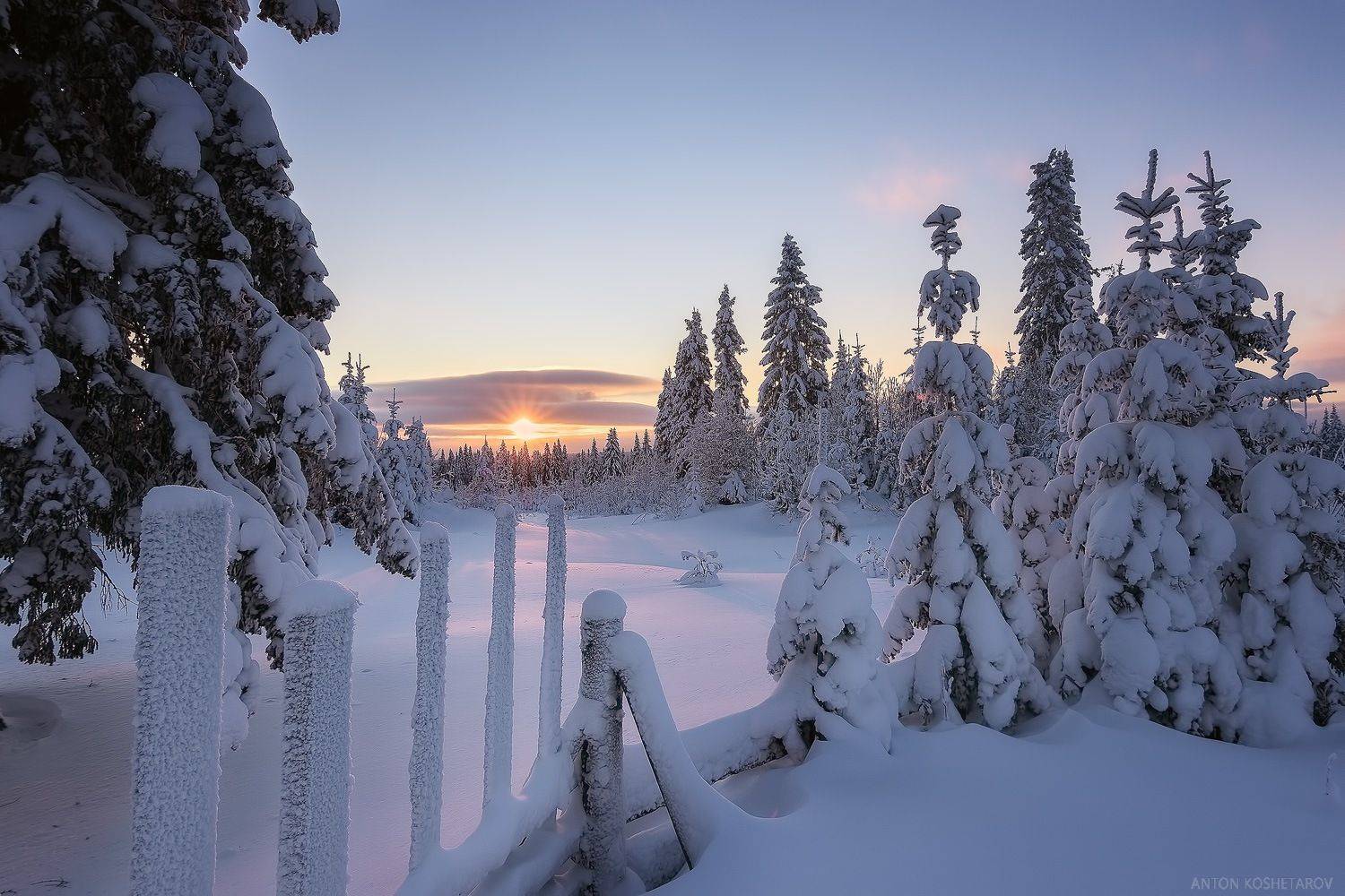 , Антон Кошетаров