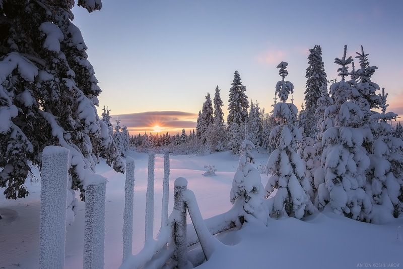 На окраине деревни фото превью