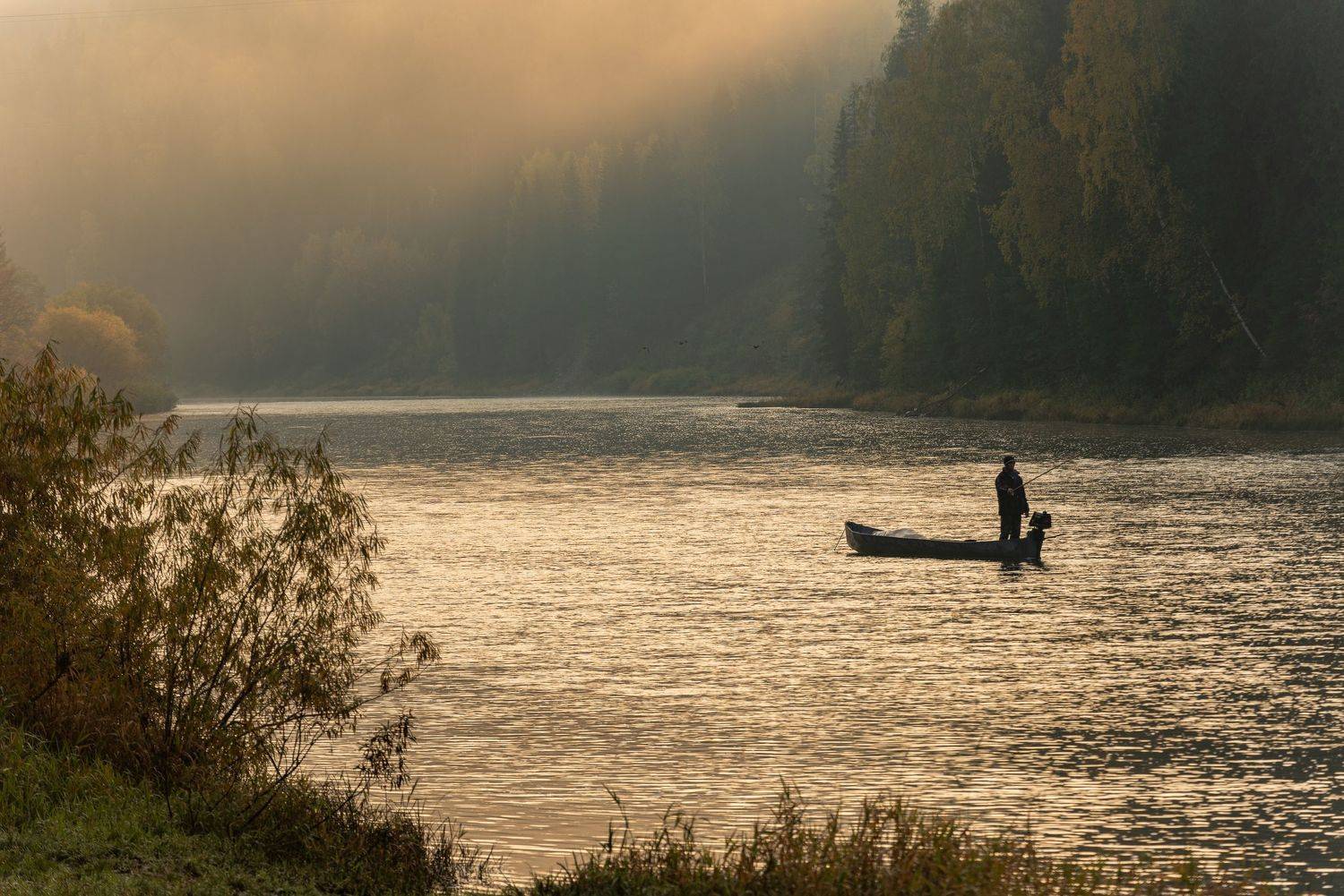 , Максим Ватрушкин
