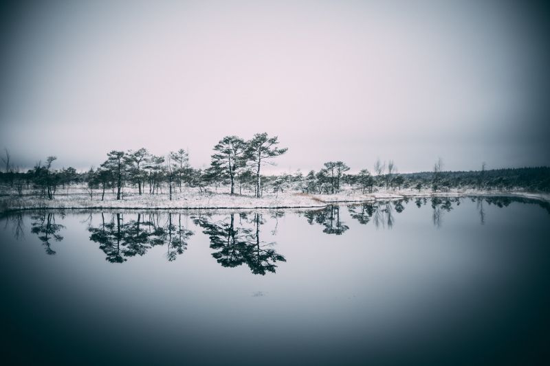 winter, sky, outdoor, new, frost, cover, environment, natural, snowy, beautiful, frozen, ice, forest, season, snow, nature,  Cold winter landscape frozen snow swamp Kemeri фото превью