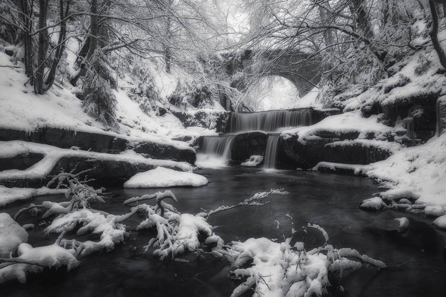 , Костадин Маджаров