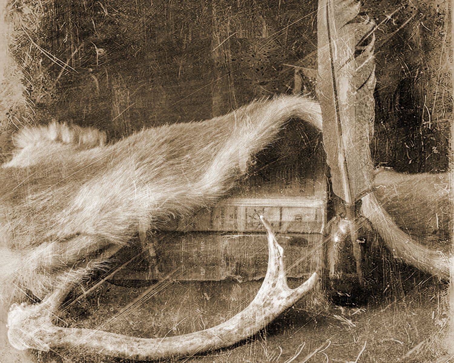 , Эльвира Сагдиева