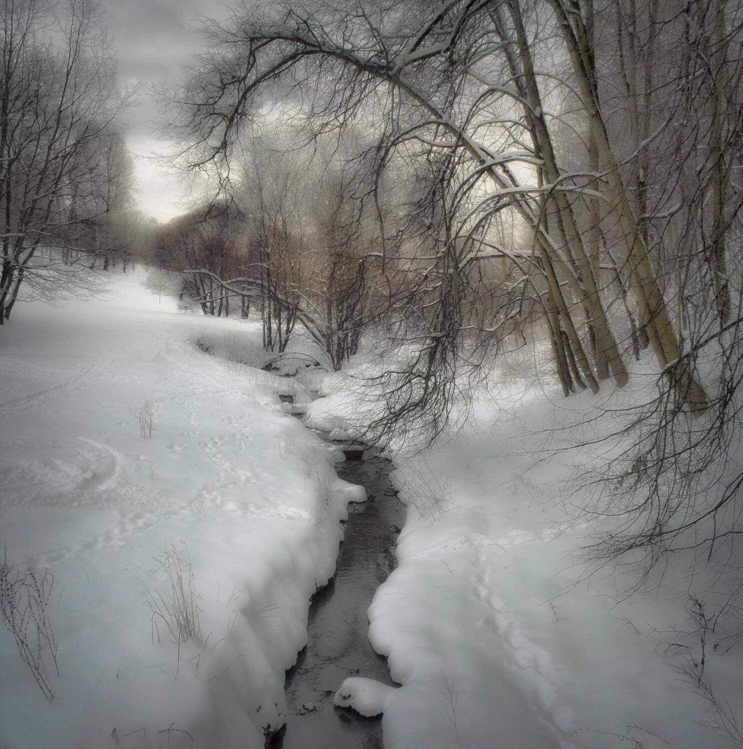 , Михаил Новиков