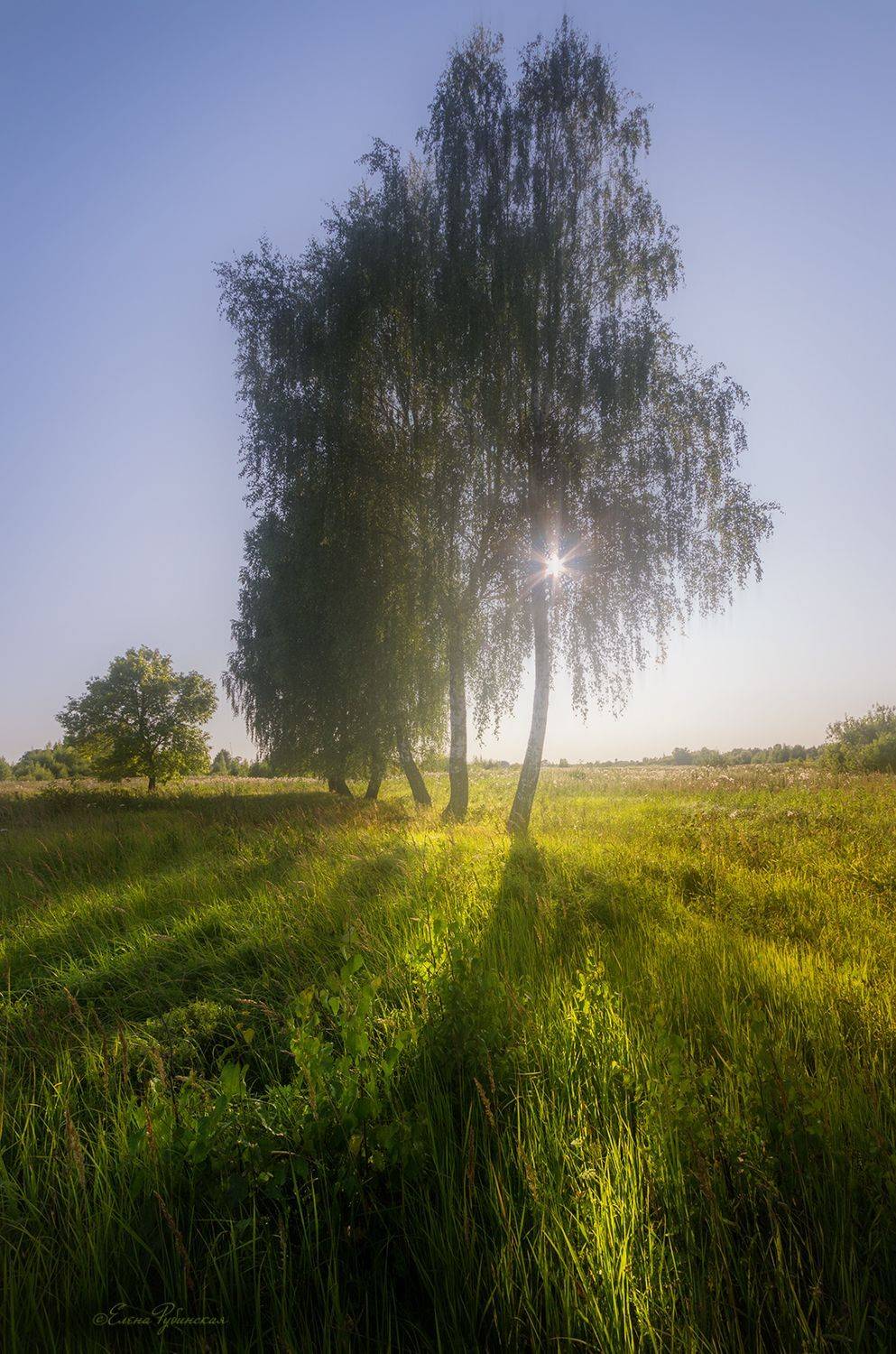 , Елена Рубинская