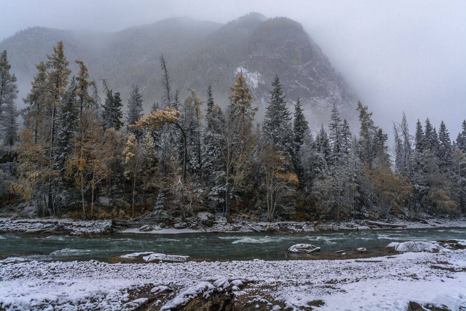 россия, горный алтай, река чуя, осень,утро,снег, Андрей Поляков