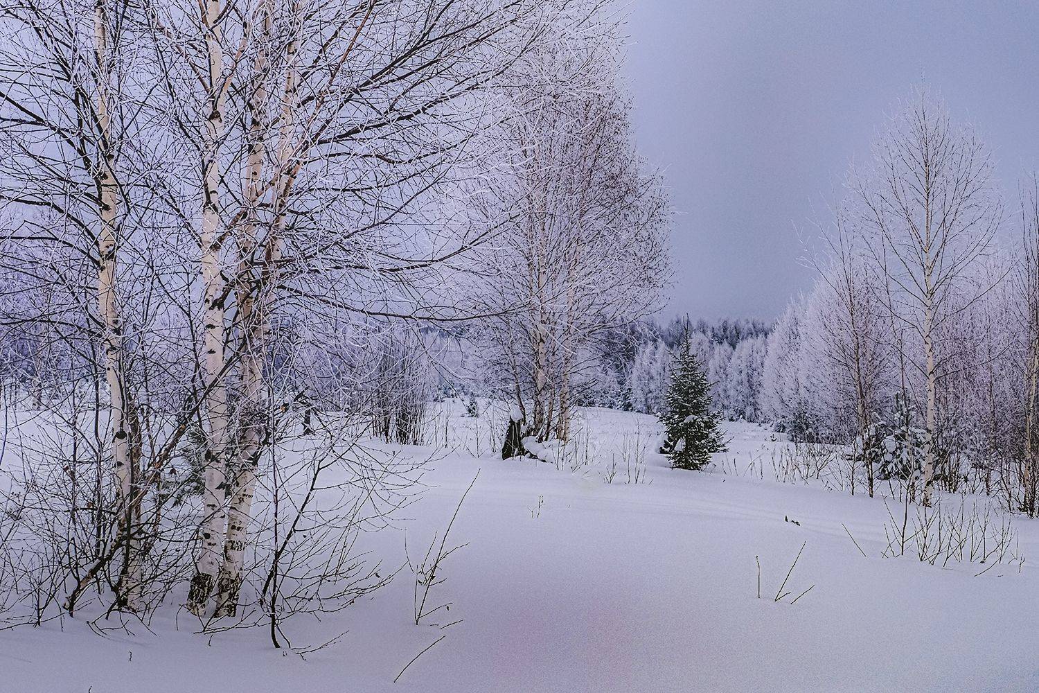 , Александр  Швачко