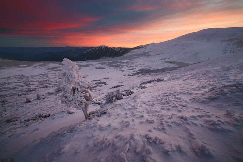 горы, рассвет, Карпаты, снег, холод, дерево, пейзаж, Carpathians, mountains, dawn, cold, morning, frozen, tree, red, clouds, landscape Frozen .. фото превью