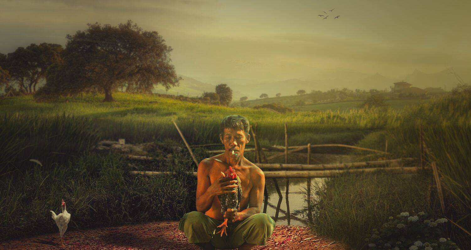 река, мужчина, петух, Sergii Vidov