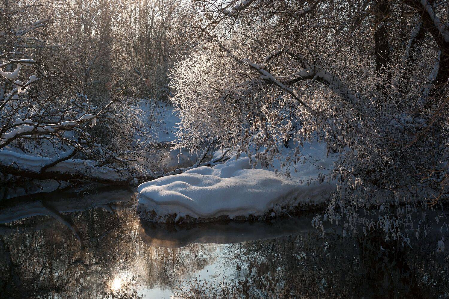 , Виталий Стрельцов