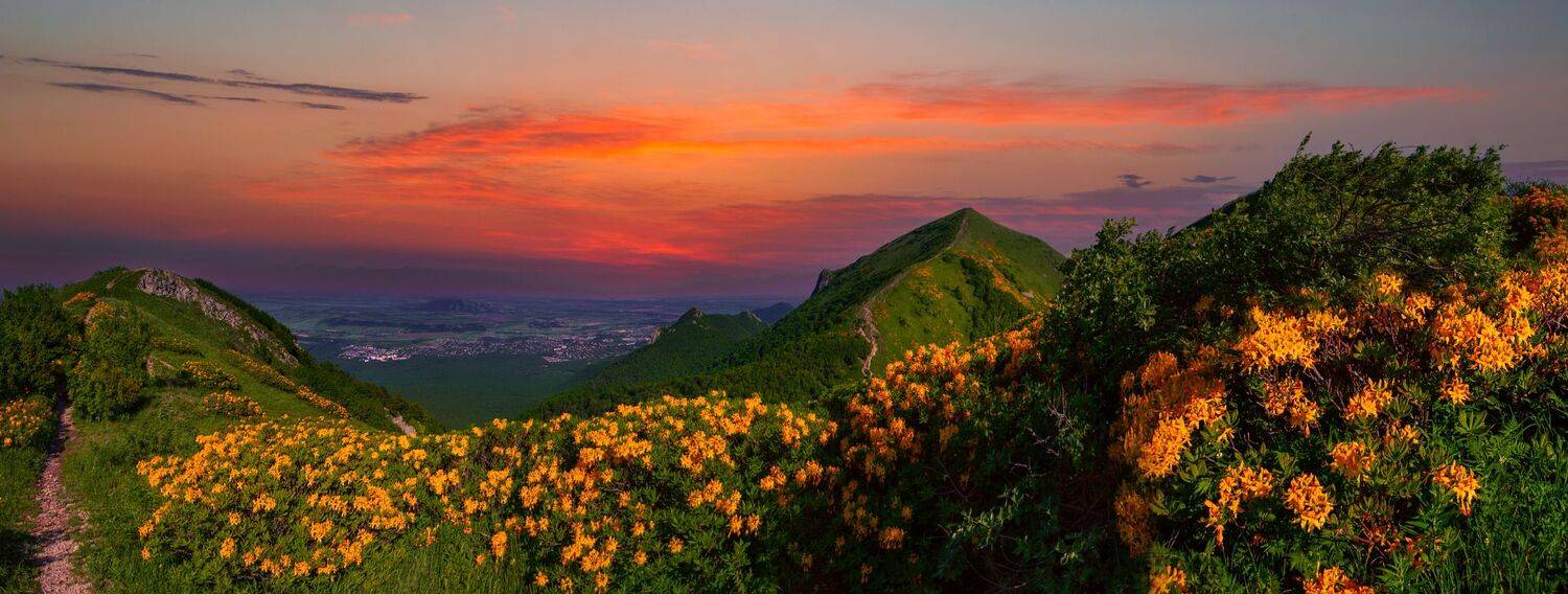 пейзаж,панорама,бештау,май,рододендрон,кмв,природа,брежицкая, Елена Брежицкая