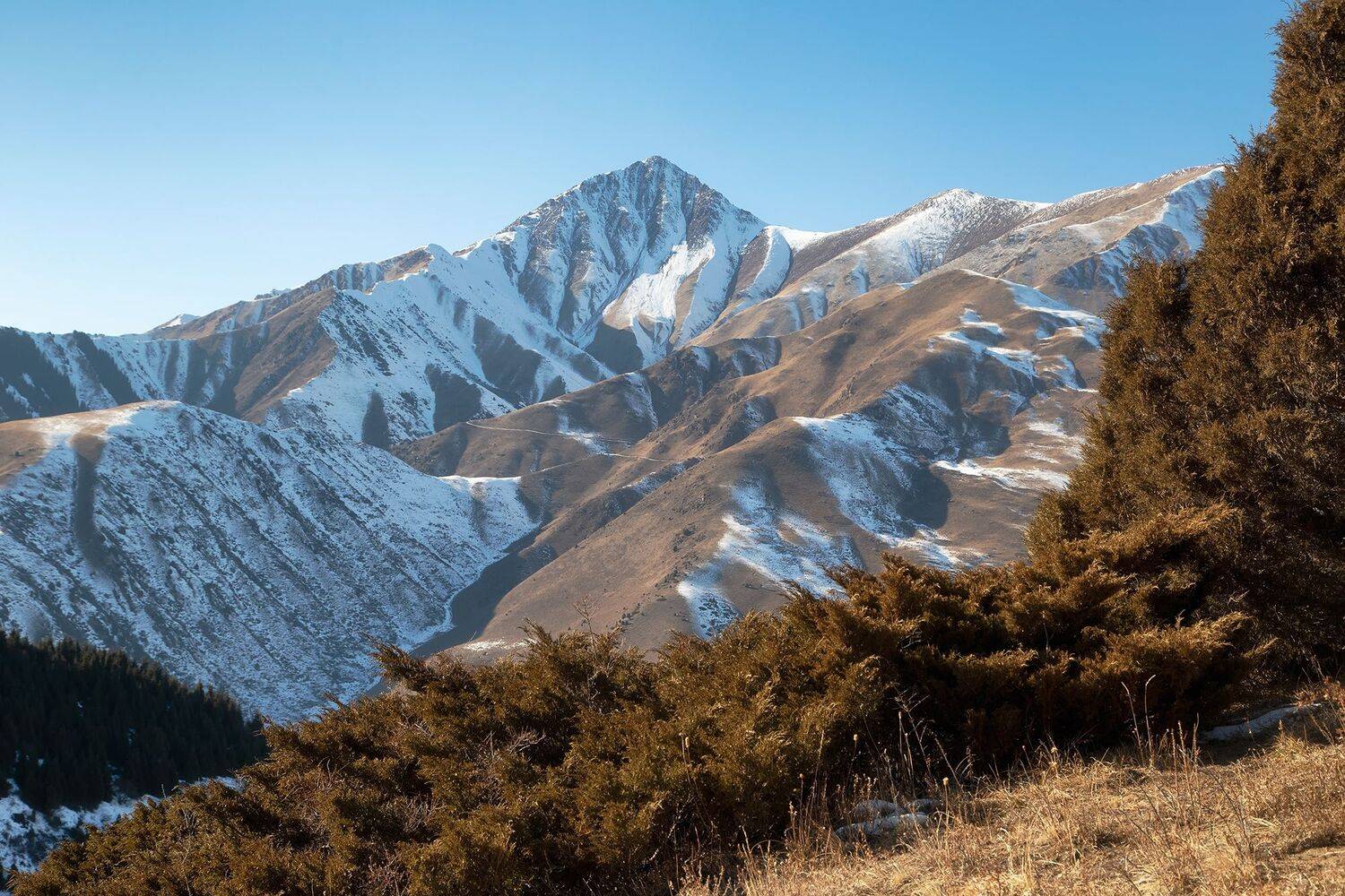 кыргызстан,горы, Элина Магалимова