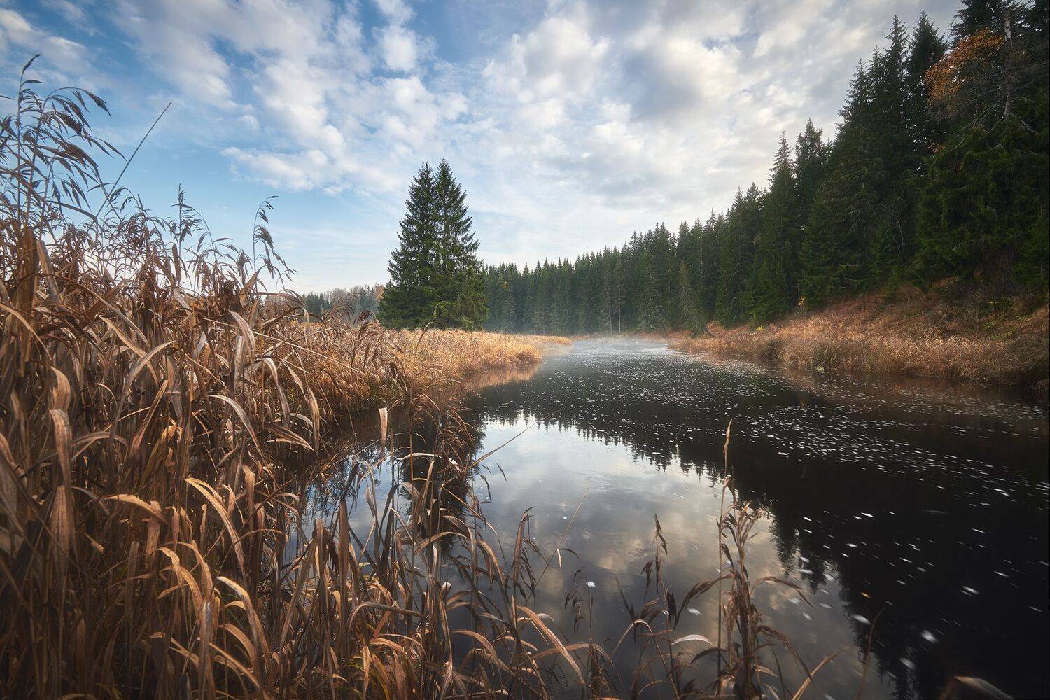 , Кононов Антон