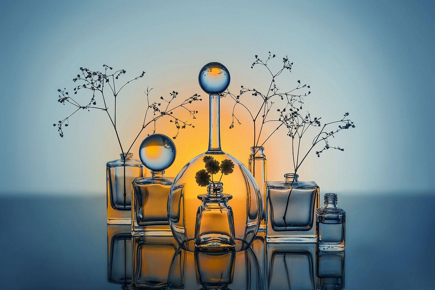 , MVO (Марк Орлов)