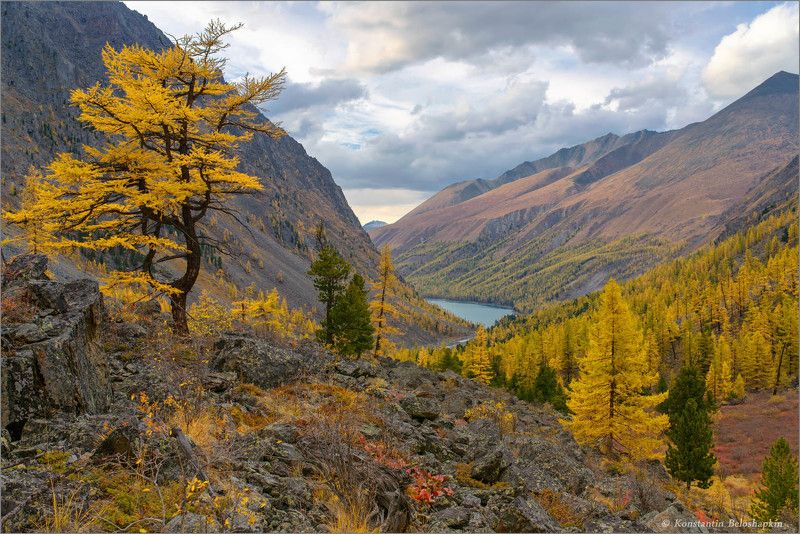 Шавлинская осень фото превью