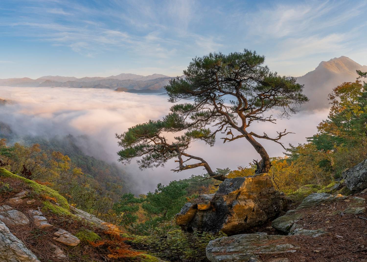, Jaeyoun Ryu