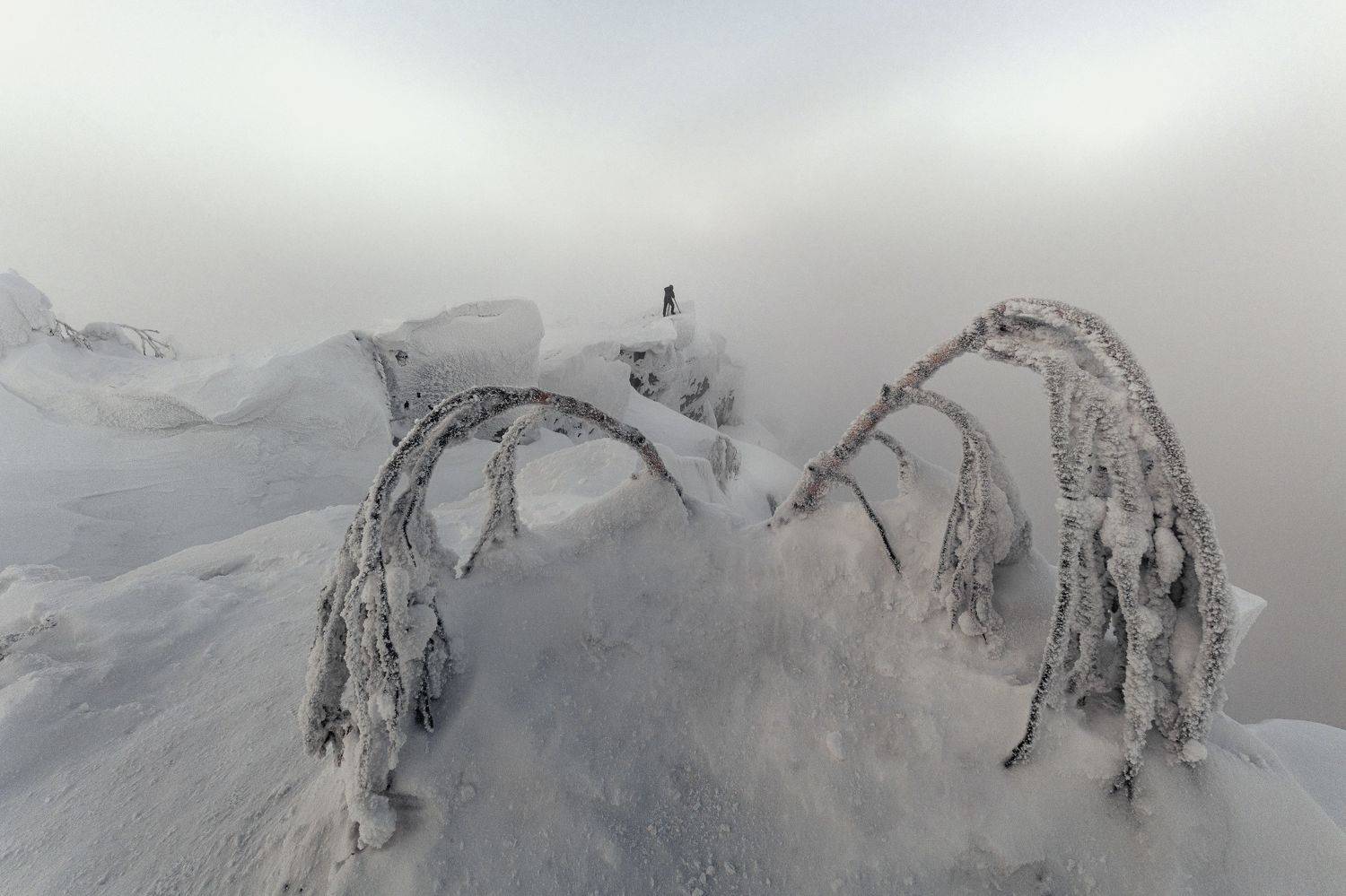 зима, туман, Полюд, Пермский_край, пейзаж, утро, снег, природа, Елена Лебедева