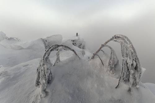 Суровое зимнее утро