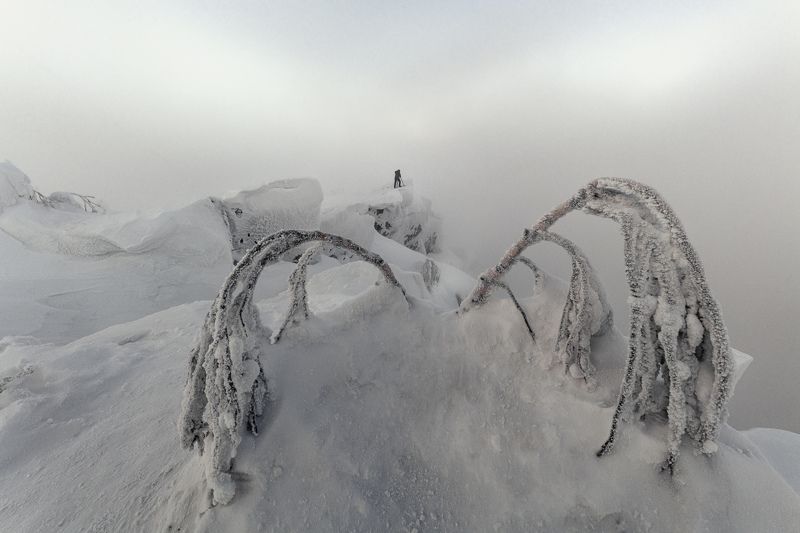зима, туман, Полюд, Пермский_край, пейзаж, утро, снег, природа Суровое зимнее утро фото превью