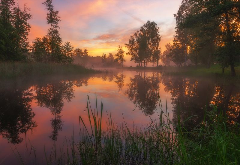 Magical dawn фото превью